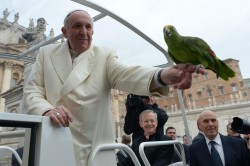 Papa Francesco durante l'udienza generale di mercoledì 29 gennaio