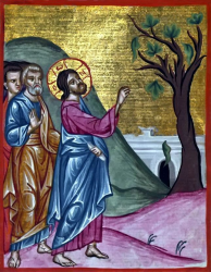 christ-and-the-fig-tree