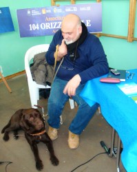 Associazione "104 Orizzontale"