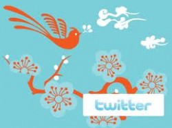 twitter