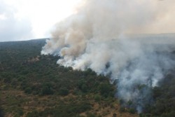 Incendio boschivo