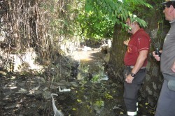 I rilievi effettuati dai VV.FF. sul greto del torrente