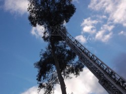 autoscala dei Vigili del Fuoco in azione