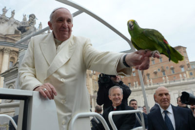 La domenica del Papa / Tra osservanza e profezia: i giovani Maria e Giuseppe e gli anziani Simeone e Anna