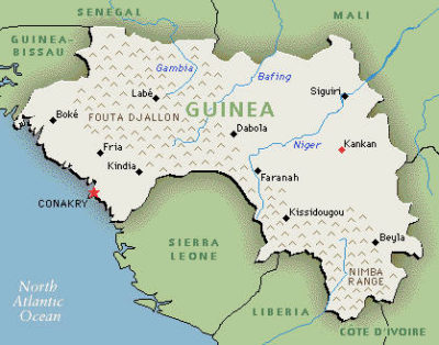 Guinea / Rischio di rapida diffusione del virus “ebola”