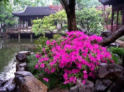 shanghai_yuyuan_garden_ee