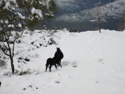 Parco dell’Etna / La Federazione italiana fuoristrada: “I nostri soci rispettano l’ambiente, chi non lo fa discredita la categoria”