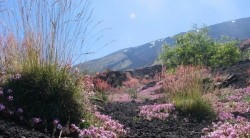 corretta-escursione-intraleo-monte-de-fiore (650 x 360)