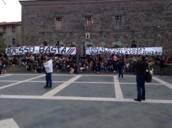 manifestazione x animali