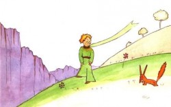 piccolo-principe_2a