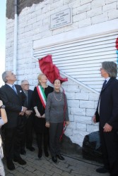 IMG_7741 (393 x 590)corretta