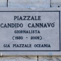 IMG_7844 (595 x 393)corretta