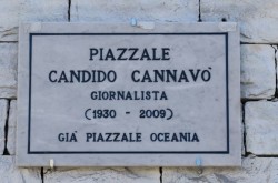 IMG_7844 (595 x 393)corretta