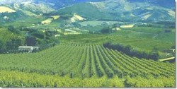basilicata2