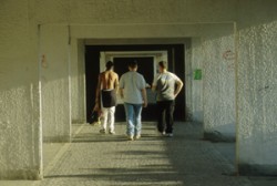 bullismop (1)