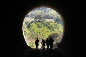 Economia / In fondo al tunnel? Non ancora Segnali contraddittori. Vedi la mancata ripresa pubblicitaria