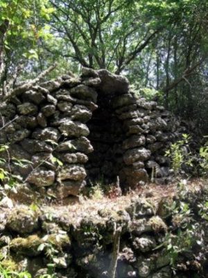 Parco dell’Etna / Domenica 31 escursione aperta nella “Giornata dei sentieri del Cai”