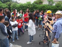 festaAcr1