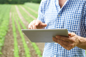 Agricoltura 2.0 / Adotti un albero (a distanza) e ti arriva la frutta