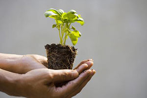 Società / Mezzogiorno da coltivare: qui si può sperimentare “l’ecologia integrale” di Francesco