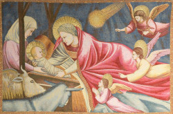 Nativita_Giotto