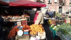 Argentati e Roversi alla fiera di Catania