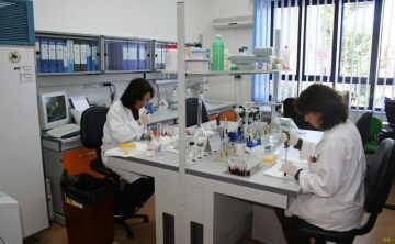 laboratorio 2