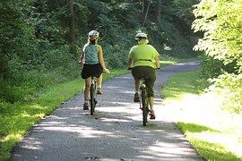 Sport / Analisi Das Italia: la Sicilia ha un’alta percentuale di donne che praticano ciclismo sportivo, Messina la provincia più sportiva