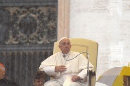 Ai bordi della cronaca / Quelle domande fastidiose. La reazione alle parole del Papa sul rapporto degli uomini con gli animali