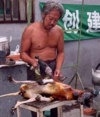 Attualità / La LNDC contro l’ usanza in Cina di mangiare la carne di cane. Richiesto all’ ambasciatore cinese di far cessare questa barbarie