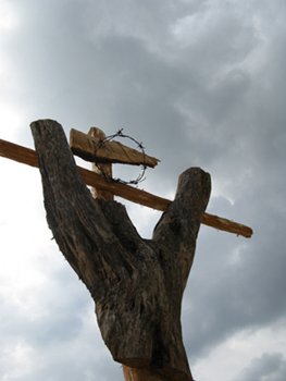 Ai bordi della cronaca / Con timore e tremore. Il dolore innocente a Dacca, Puglia, Nizza, Turchia