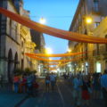 DSC02178A