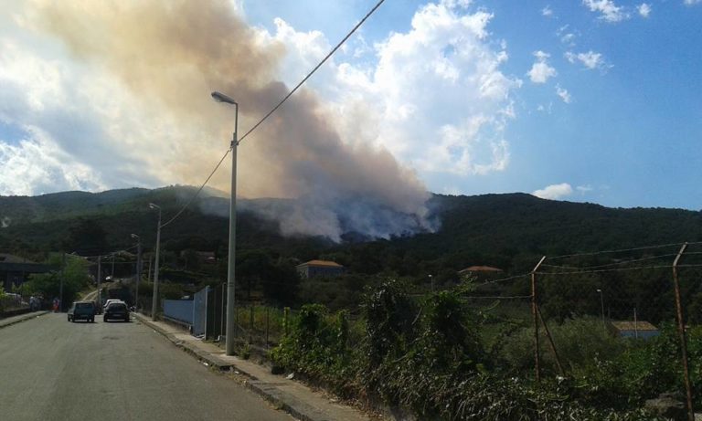 Zafferana Etnea / Terminate le operazioni di spegnimento dell’incendio in contrada Sparavita. Il corpo forestale: “Persi 15 ettari di bosco”