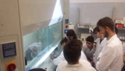 2 - RAGAZZI ASCIONE (480 x 270)
