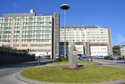 La testimonianza / Alessandro, da 11 anni in sedia a rotelle e presto papà grazie a crioconservazione e fecondazione assistita della Biobanca del “Cannizzaro”