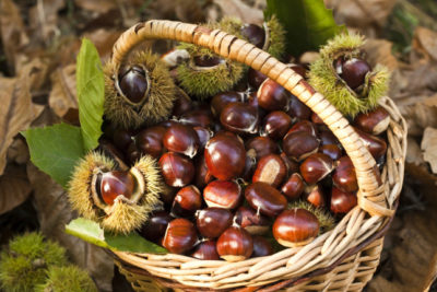 Zafferana / Con la “Sagra delle castagne” si conclude domani l’Ottobrata. Nel programma anche una rievocazione storica