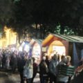 cor sagra fciodindia