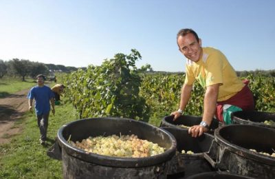 Legge di stabilità / Svolta nell’agricoltura. Ecco lo “street food” contadino: si potranno vendere direttamente i propri prodotti anche quando sono derivati