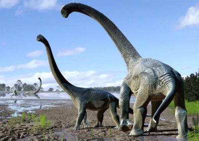 Pillole di scienza – 4 / L’estinzione dei dinosauri non è stata l’unica nella storia dell’umanità