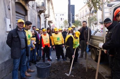 Legambiente / Cento nuovi alberi a Catania grazie al crowdfunding