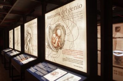 Mostre / Dal 28 luglio a Catania “Leonardo da Vinci- I volti di un genio”