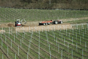 Cura del territorio / Convenzione in Trentino per valorizzare i muretti a secco, due corsi di formazione ad Acireale