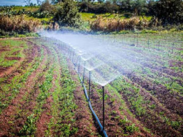 Preziosissima acqua / La politica arranca nel preservare e distribuire a tutti la risorsa