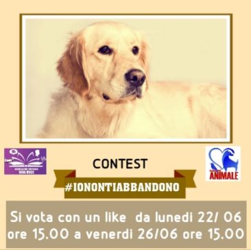 Solidarieta Un Contest Con Video Contro L Abbandono Degli Animali Per Proteggere I Nostri Amici A Quattro Zampe La Voce Dell Jonio