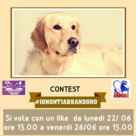 Solidarietà / Un contest con video contro l’abbandono degli animali per proteggere i nostri amici a quattro zampe