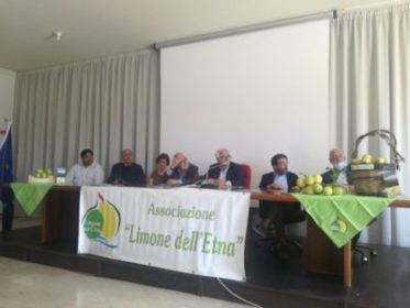 Acireale / Conferenza stampa al Crea sul riconoscimento del marchio Igp al limone dell’Etna