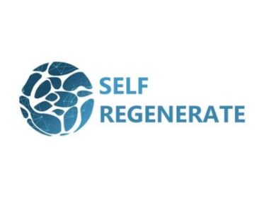Scuola / Inglese e competenze imprenditoriali per creare lavoro: in sperimentazione a Catania il progetto europeo Self-Regenerate