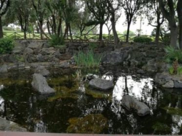 Aci S. Antonio / Approvati dalla Giunta progetti per la valorizzazione della Villa comunale e il recupero del Parco di Casalotto