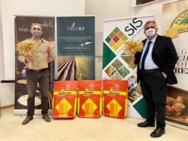 Agricoltura in Sicilia / Pandittaino e Società italiana sementi verso la prima filiera tracciata di grano tenero