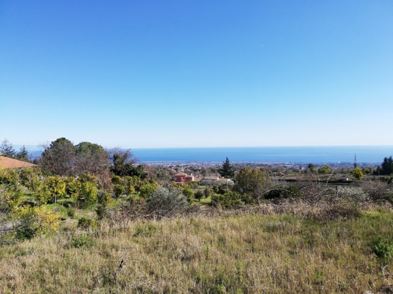 Vigna e dintorni a Monacella riparo vendemmiatori